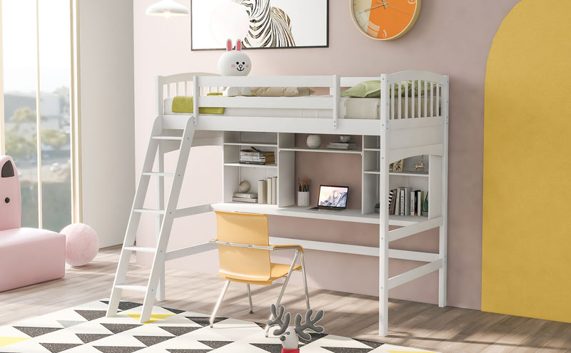 Loft Bed With Storage Shelves, Desk And Ladder