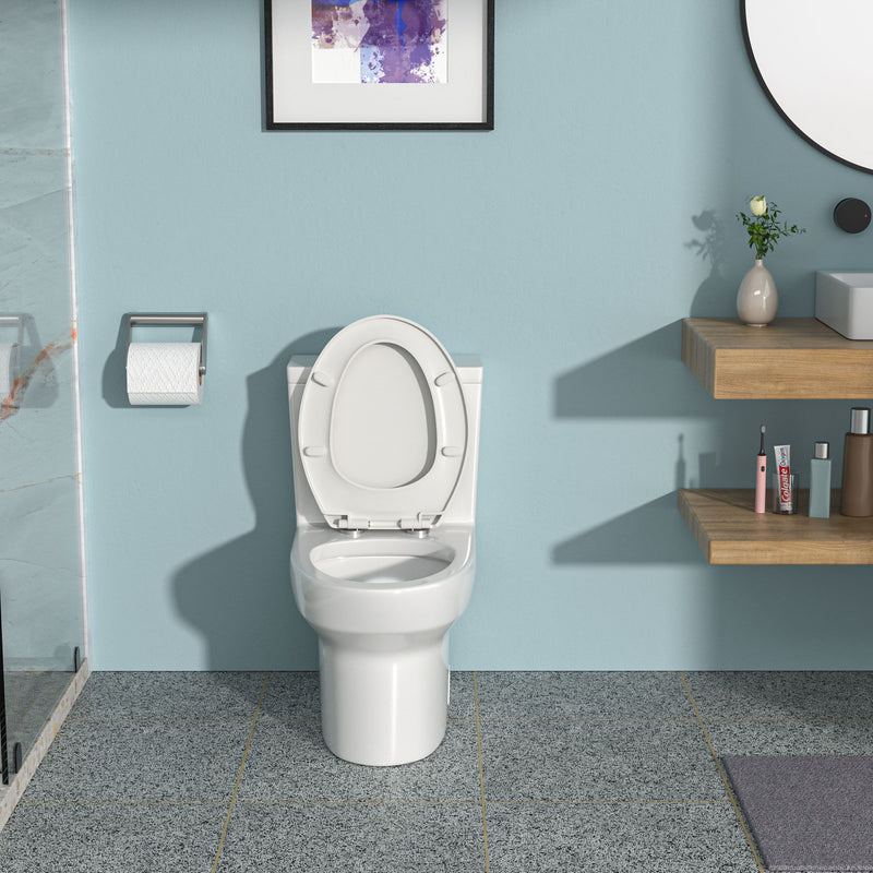1 Piece Toilet & Dual Flush, Soft Closing Seat - White