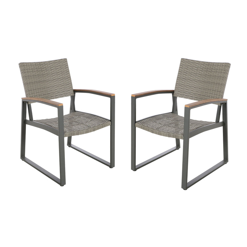 Aresha - Outdoor Dining Armchair (Set of 2) - Gray