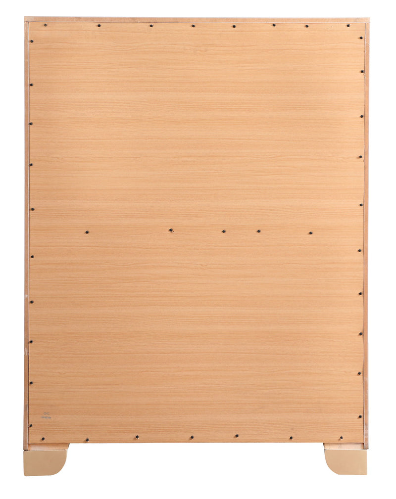 Sleek Contemporary Storage Chest